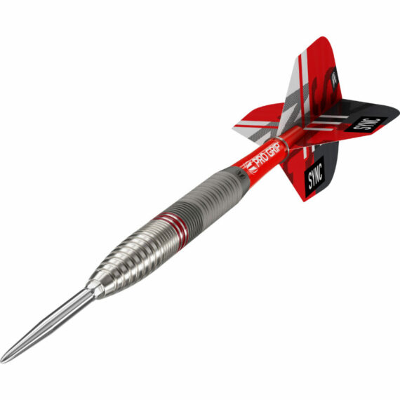 target-swiss-point-sync-02-steeldart-dynamisch