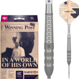 target raymond van barneveld barney25 swiss point steeldarts