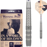 target raymond van barneveld barney25 softdarts