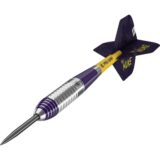 target luke littler brass steeldarts